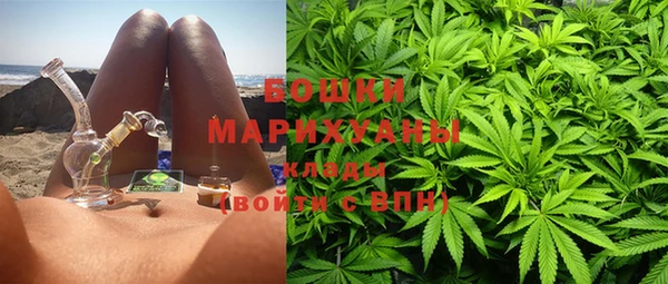 ALPHA PVP Осинники