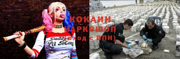 ПСИЛОЦИБИНОВЫЕ ГРИБЫ Остров