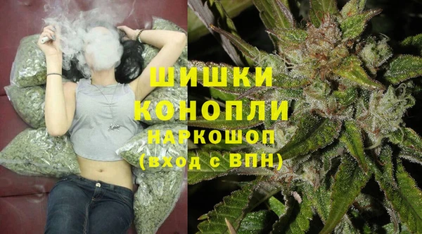 ПСИЛОЦИБИНОВЫЕ ГРИБЫ Остров