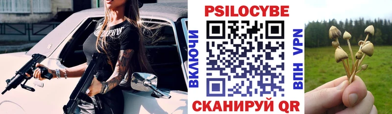 Галлюциногенные грибы ЛСД  купить наркотик  Черногорск 